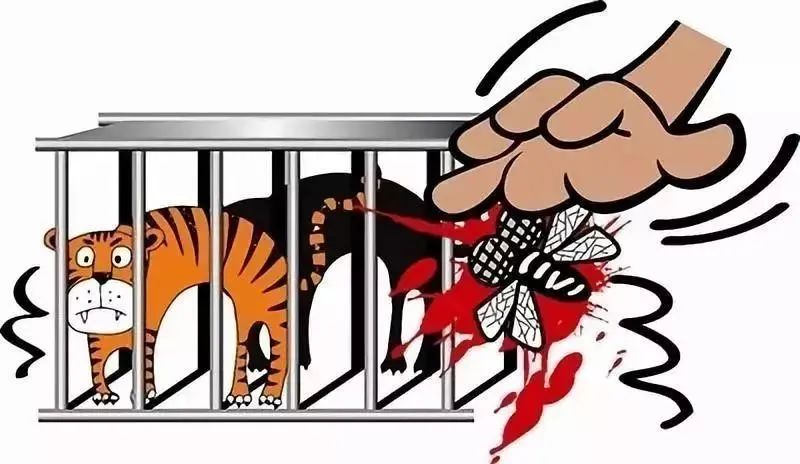 新金宝(中国游)有限公司官网