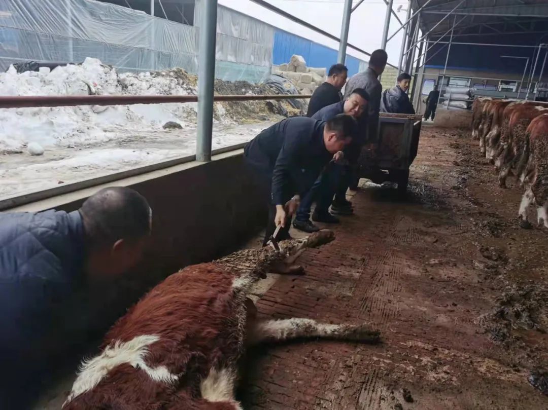 新金宝(中国游)有限公司官网