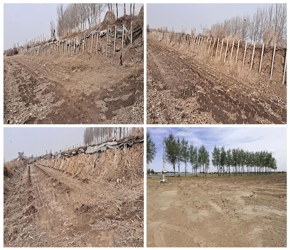 新金宝(中国游)有限公司官网