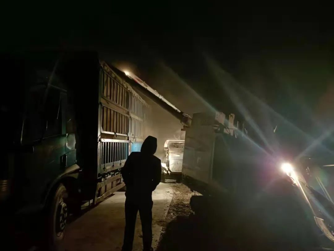 新金宝(中国游)有限公司官网