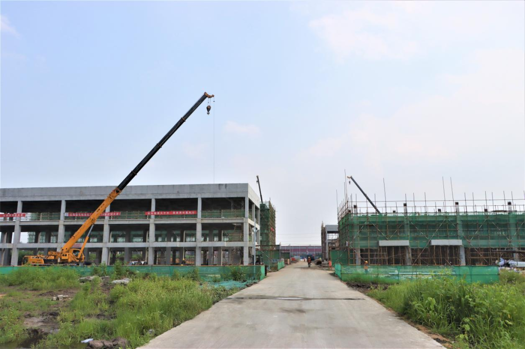 新金宝(中国游)有限公司官网