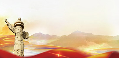 新金宝(中国游)有限公司官网