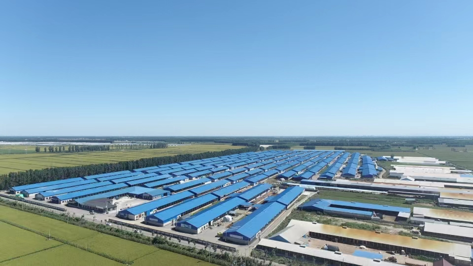 新金宝(中国游)有限公司官网