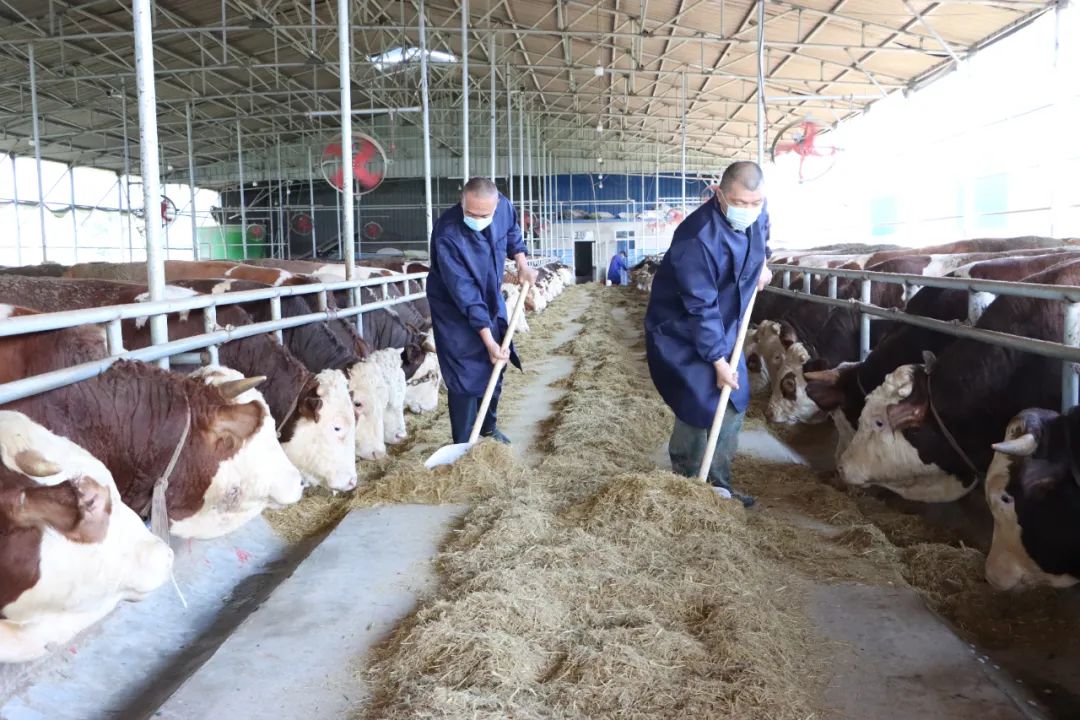 新金宝(中国游)有限公司官网