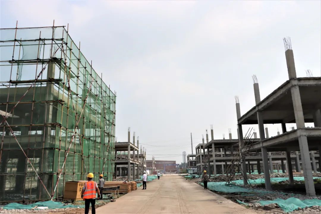 新金宝(中国游)有限公司官网