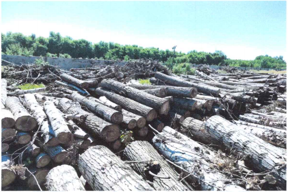 新金宝(中国游)有限公司官网