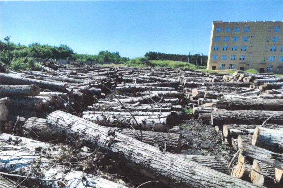 新金宝(中国游)有限公司官网