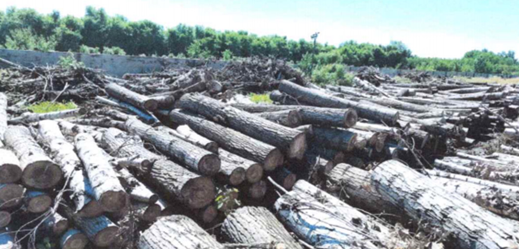 新金宝(中国游)有限公司官网