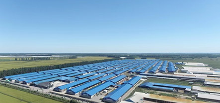 新金宝(中国游)有限公司官网