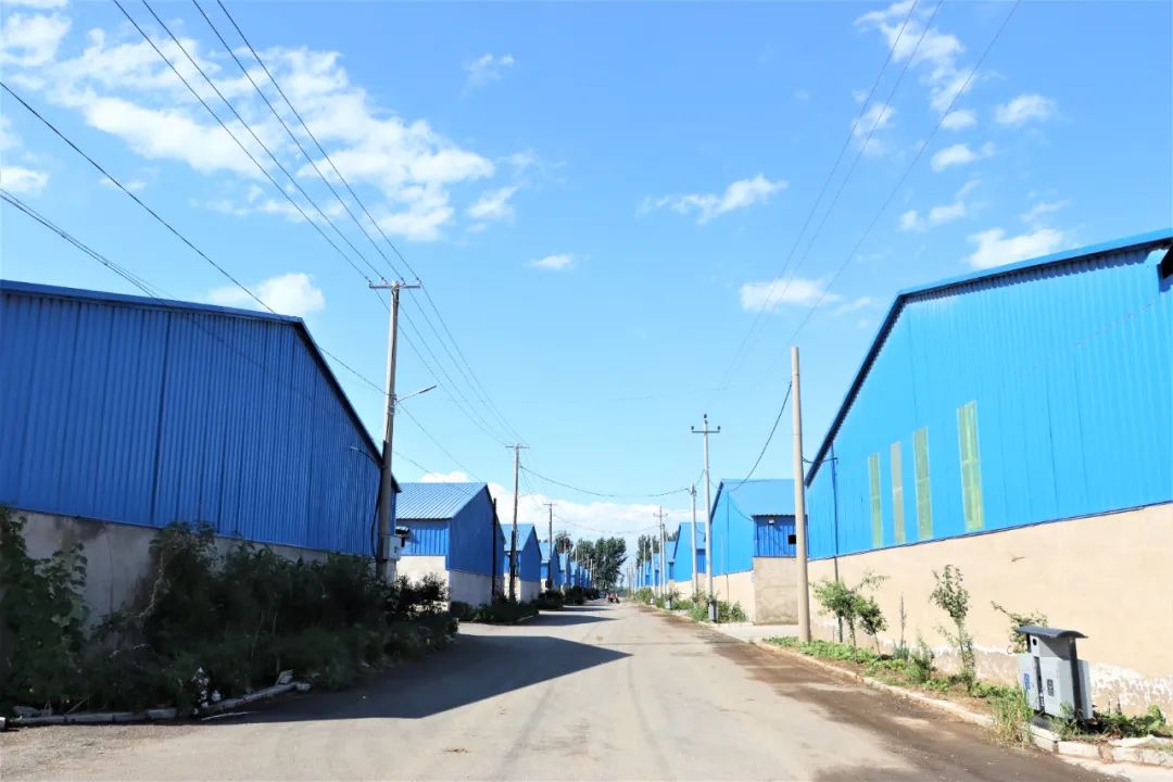 新金宝(中国游)有限公司官网