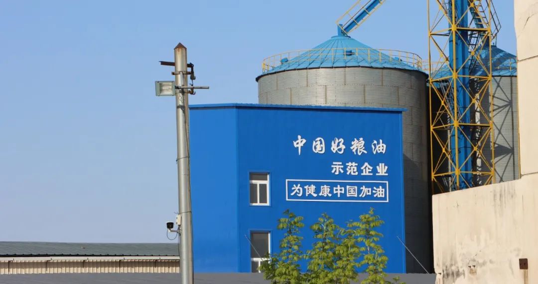 新金宝(中国游)有限公司官网