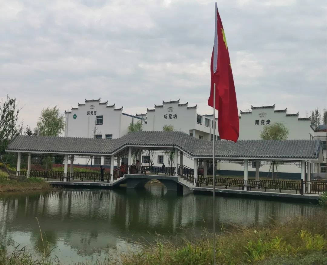 新金宝(中国游)有限公司官网