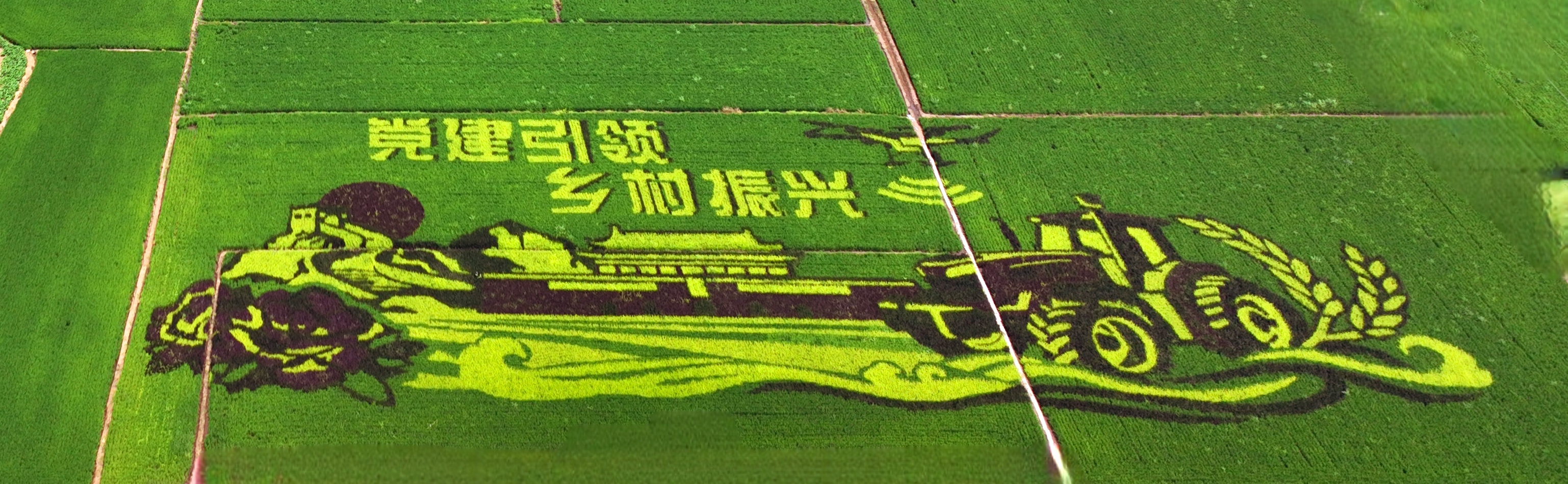 新金宝(中国游)有限公司官网