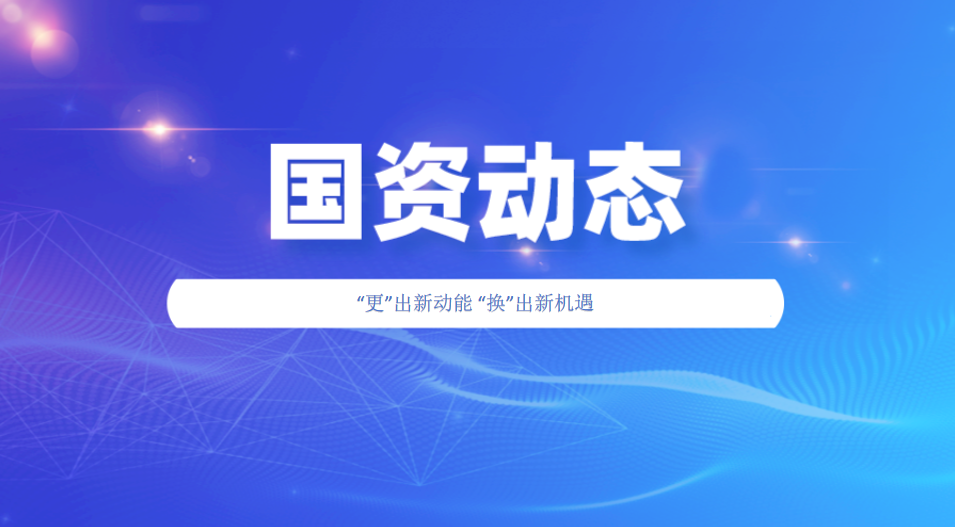 新金宝(中国游)有限公司官网
