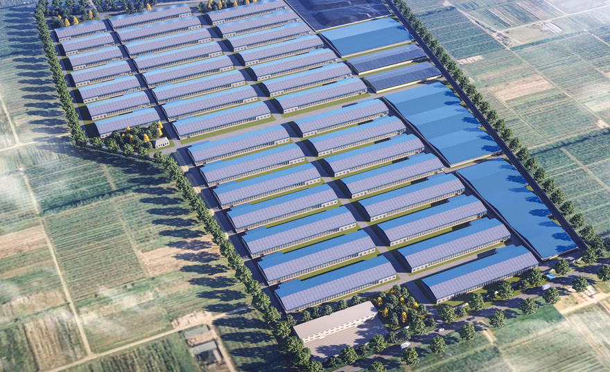 新金宝(中国游)有限公司官网